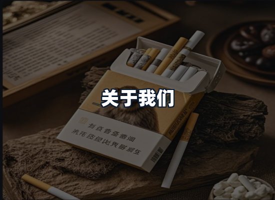 关于我们
